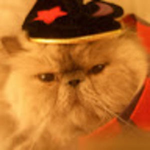 Meet your Posher, Tamara